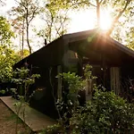 Semesterbostad Luxe Hottub Japandi Tiny House In Het Bos Nunspeet