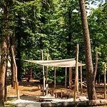 Luxe Hottub Japandi Tiny House In Het Bos * Nunspeet