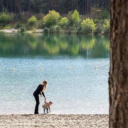 Luxe Hottub Japandi Tiny House In Het Bos ヌンスペート