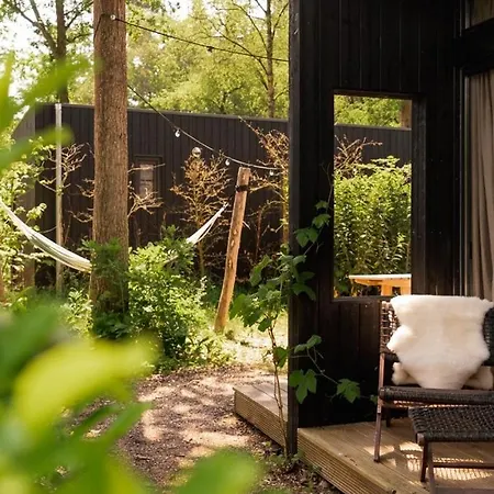 Luxe Hottub Japandi Tiny House In Het Bos Nunspeet