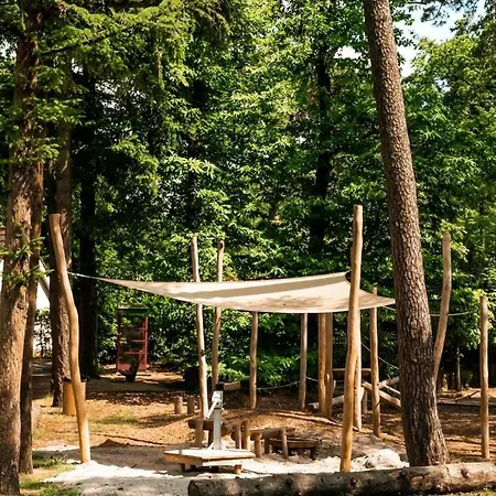 Luxe Hottub Japandi Tiny House In Het Bos * נונספייט