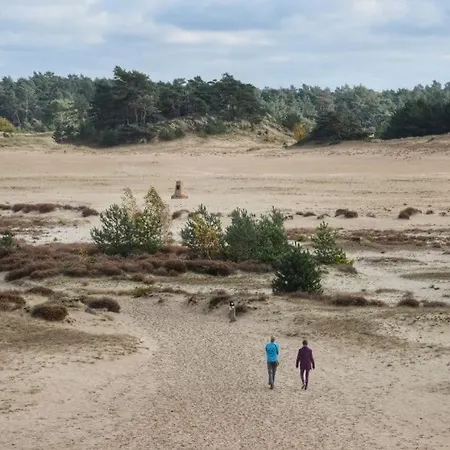 別荘 Luxe Hottub Japandi Tiny House In Het Bos