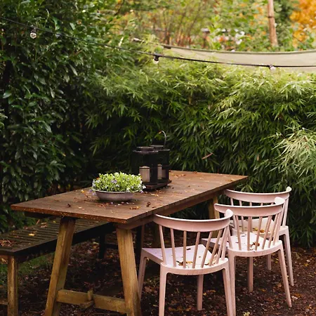 펜션 Luxe Hottub Japandi Tiny House In Het Bos 넌스피트