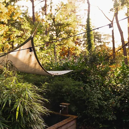 Luxe Hottub Japandi Tiny House In Het Bos 넌스피트