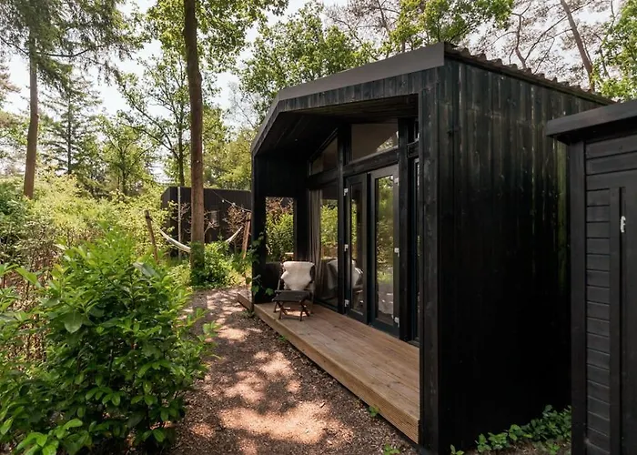 Luxe Hottub Japandi Tiny House In Het Bos