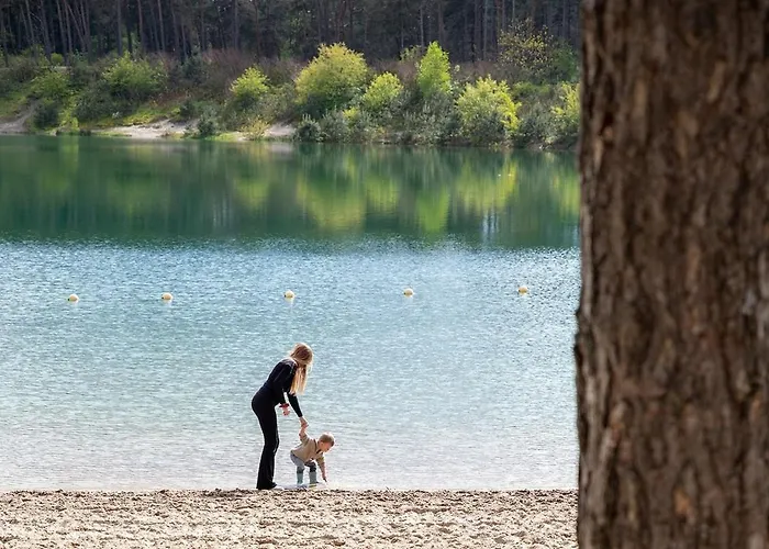 Luxe Hottub Japandi Tiny House In Het Bos Nunspeet