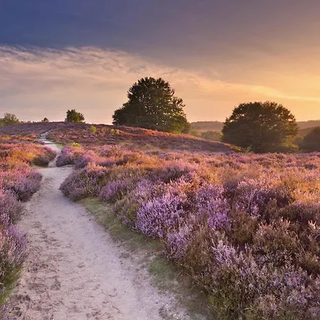 Luxe Hottub Japandi Tiny House In Het Bos * 넌스피트
