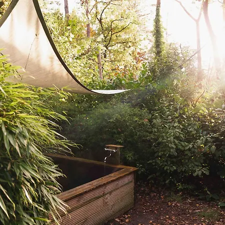 Luxe Hottub Japandi Tiny House In Het Bos 펜션 *