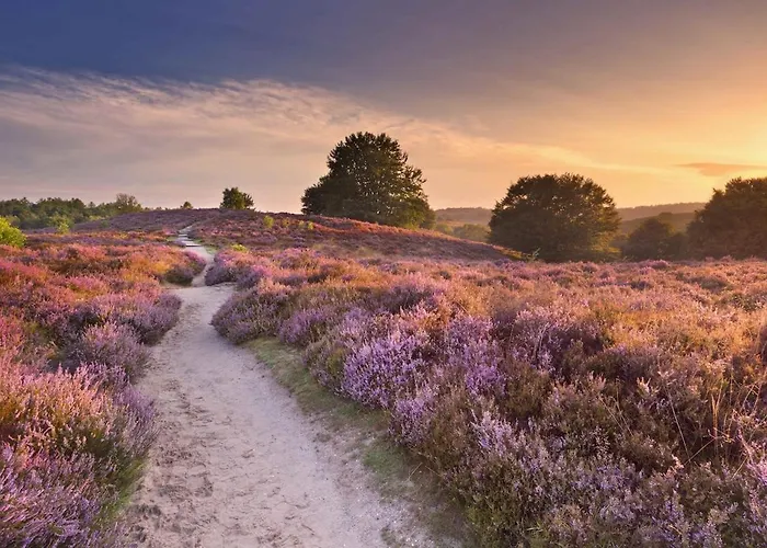Luxe Hottub Japandi Tiny House In Het Bos * 넌스피트