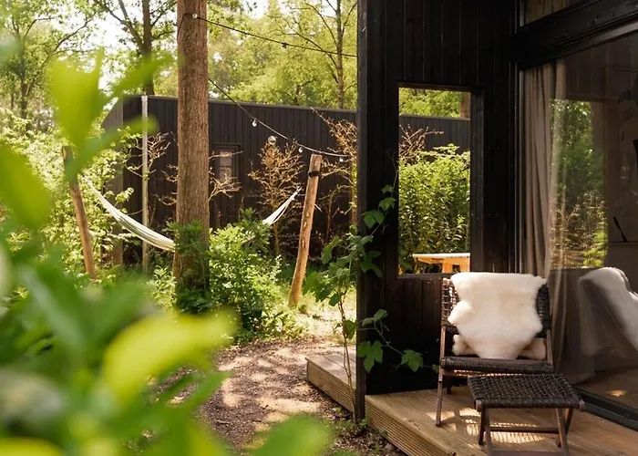 Luxe Hottub Japandi Tiny House In Het Bos 넌스피트