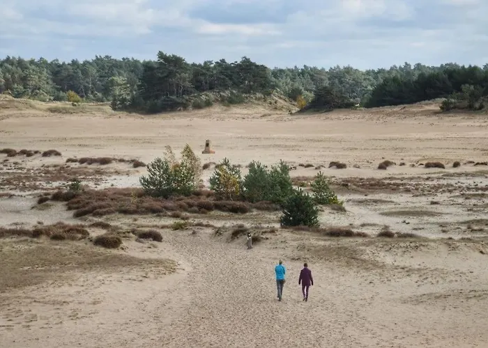 펜션 Luxe Hottub Japandi Tiny House In Het Bos