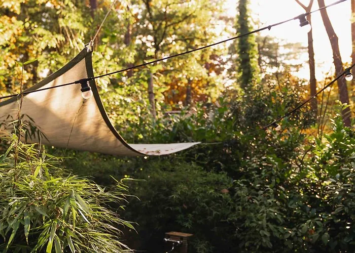 Luxe Hottub Japandi Tiny House In Het Bos 넌스피트